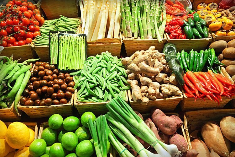 PROCON-TL Apresenta Pesquisa de Preços de Gêneros Alimentícios