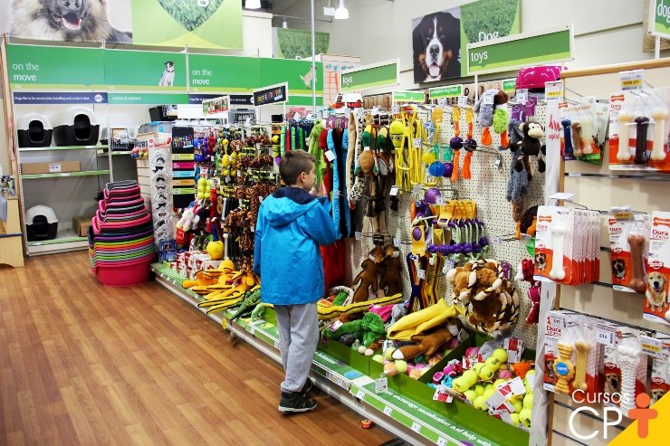 PROCON-TL Divulga Pesquisa de Preços em Pet Shops de Três Lagoas