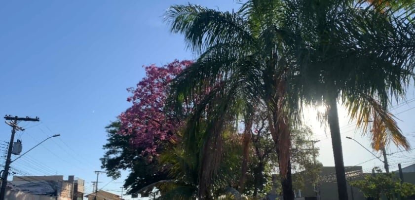 Outono em Três Lagoas terá temperaturas acima da média e risco de queimadas em 2026