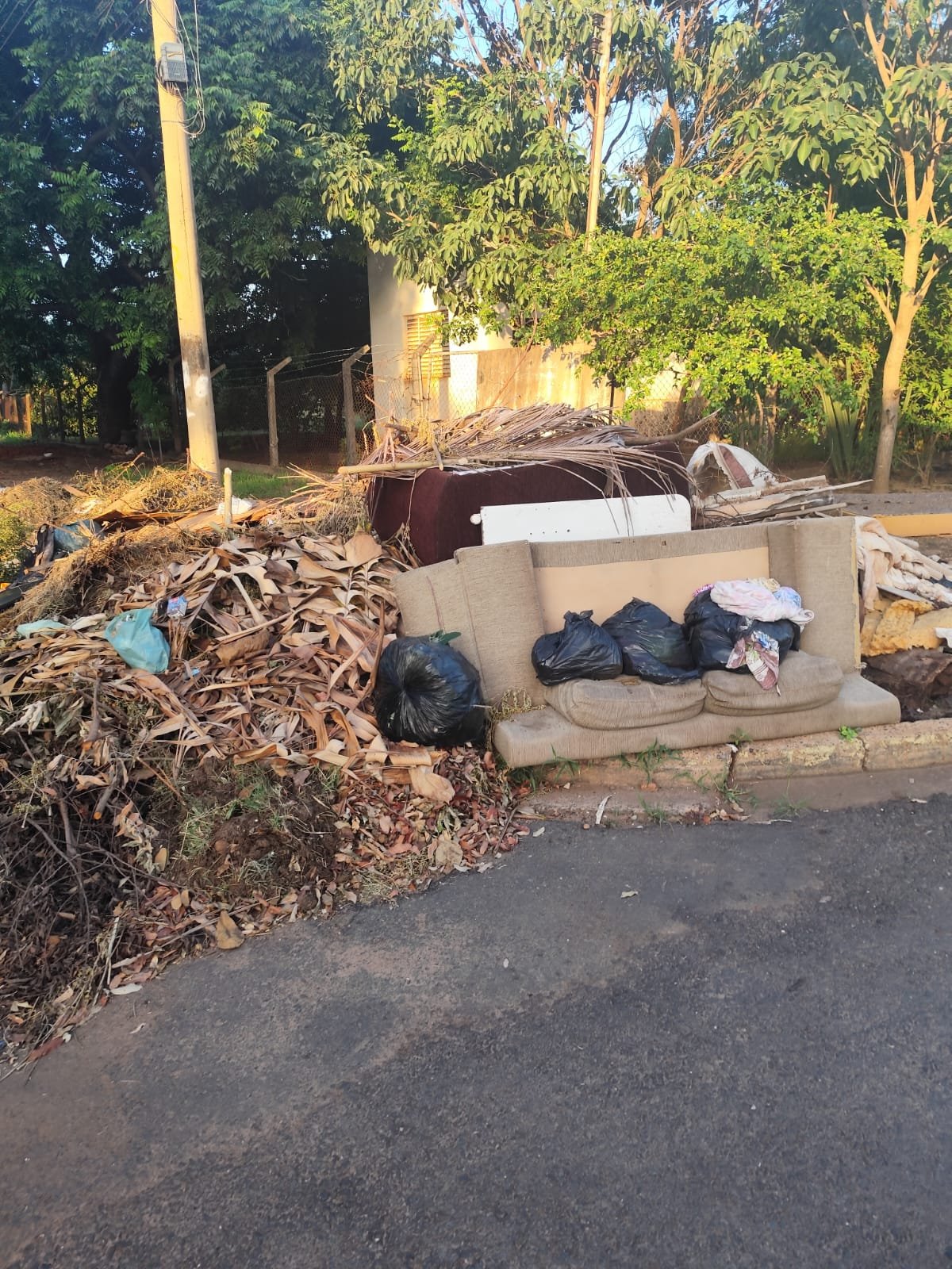 Descarte irregular de lixo persiste em Três Lagoas: Um problema de conscientização