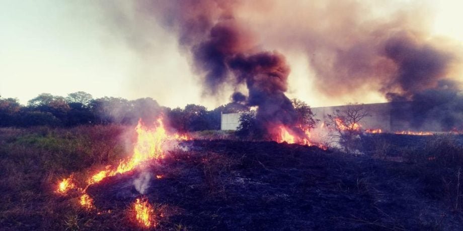 Três Lagoas intensifica combate a queimadas urbanas com fiscalização e multas