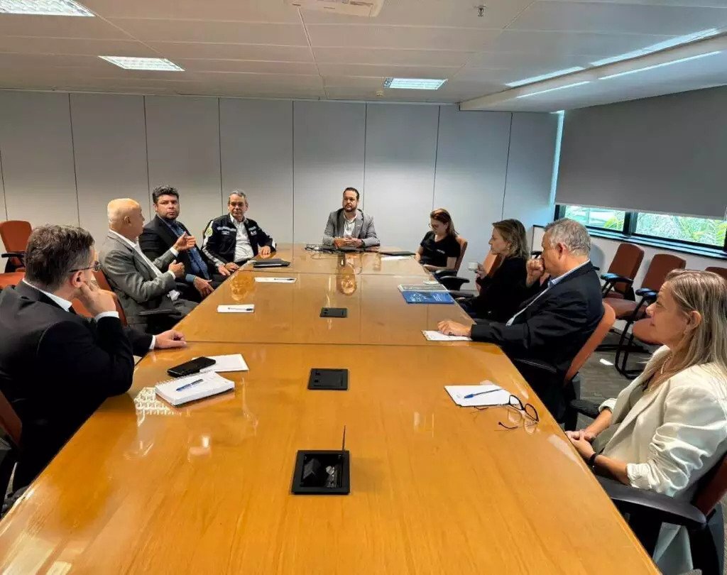 Agems e ANTT articulam novo viaduto na Rota da Celulose em MS