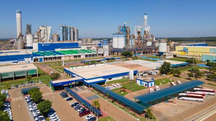 Suzano abre vagas de emprego em Três Lagoas e Ribas do Rio Pardo, no Mato Grosso do Sul
