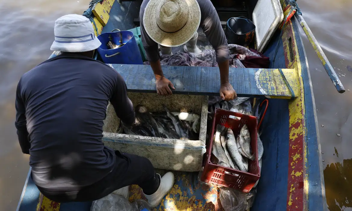 Sexto lote do Seguro-Defeso é pago a pescadores nesta terça-feira