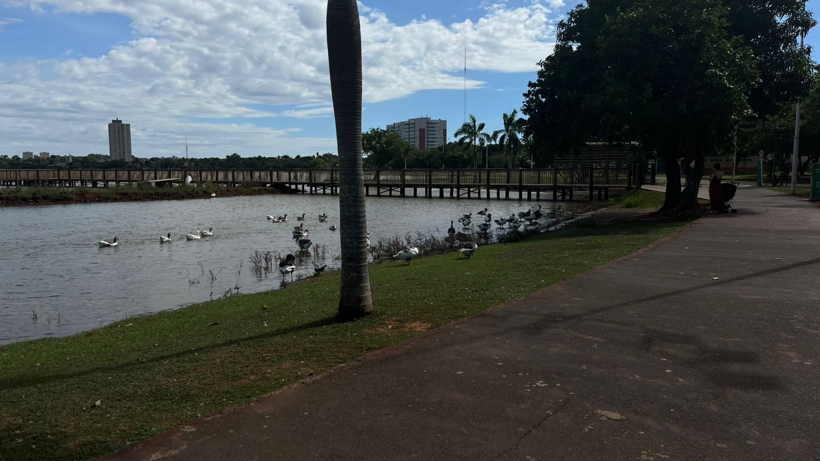 Reparos na pista de caminhada da Lagoa Maior começarão em breve
