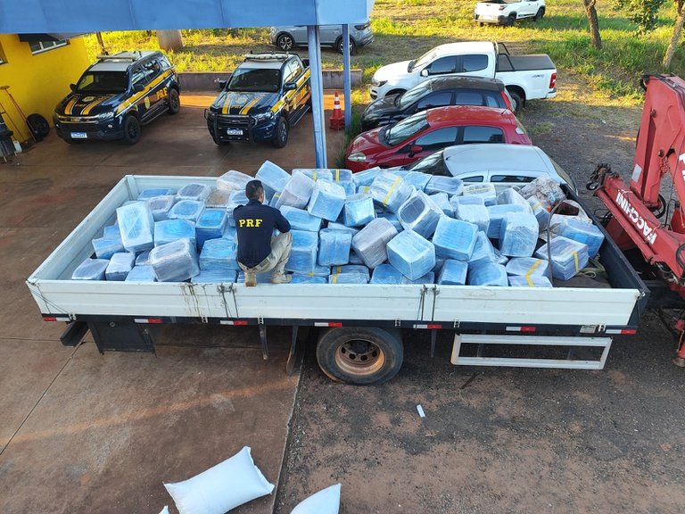 Apreensão recorde: Quase 5 toneladas de maconha escondidas em carga de girassol na BR-158