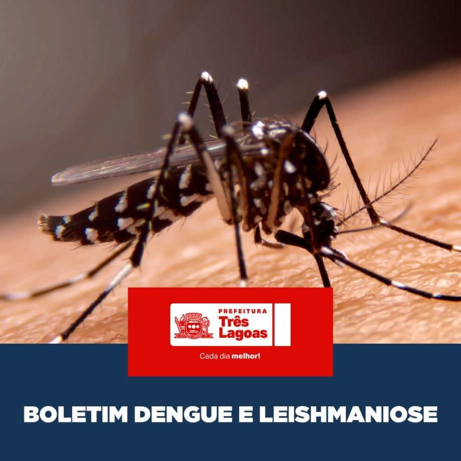 Boletim de Dengue e Leishmaniose em Três Lagoas: Dados de 25 de Fevereiro de 2026