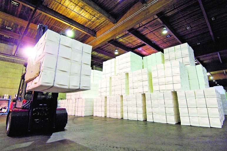 Três Lagoas lidera as exportações no MS, movimentando R$ 6,2 bilhões em 2026