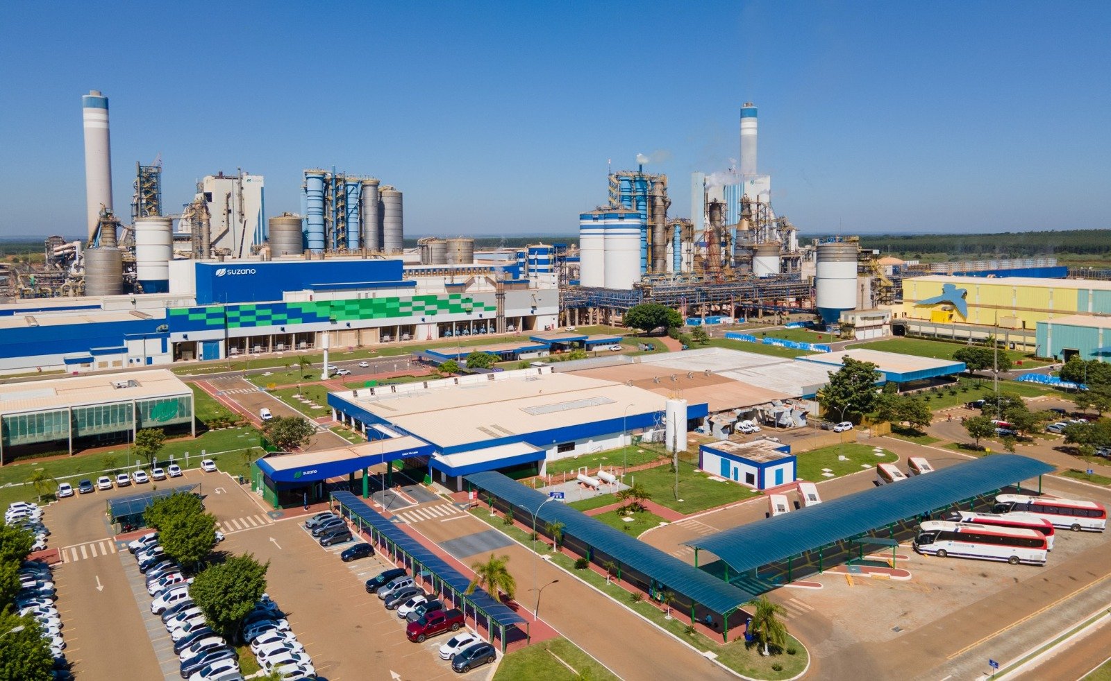 Operações da Suzano em MS geram R$ 3,7 bilhões para 824 fornecedores locais em 2025