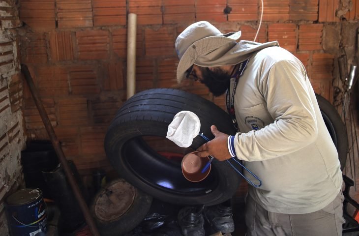 MS registra 79 casos de dengue em novo boletim epidemiológico